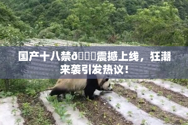 国产十八禁🔞震撼上线，狂潮来袭引发热议！
