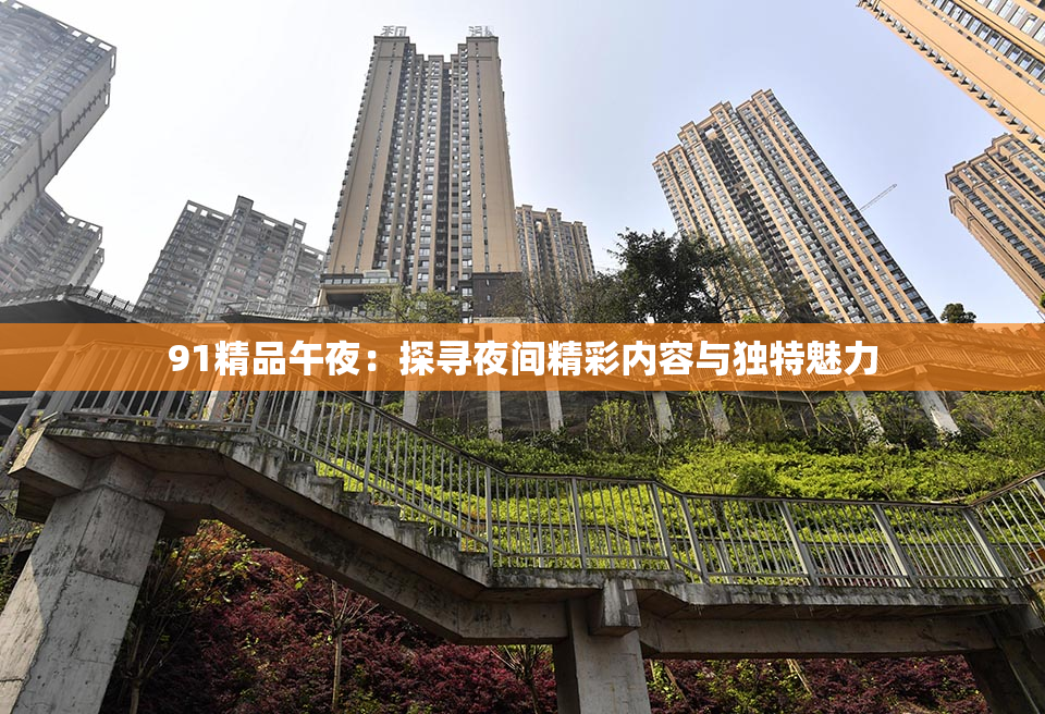 91精品午夜：探寻夜间精彩内容与独特魅力