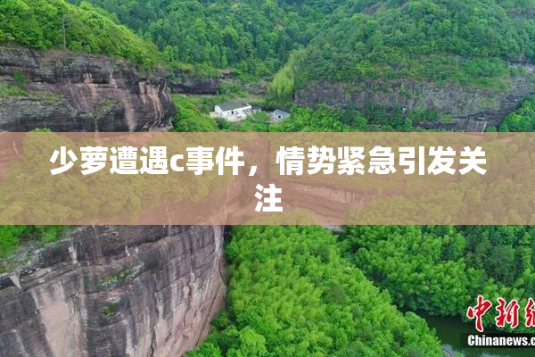 少萝遭遇c事件，情势紧急引发关注