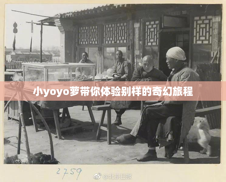 小yoyo萝带你体验别样的奇幻旅程