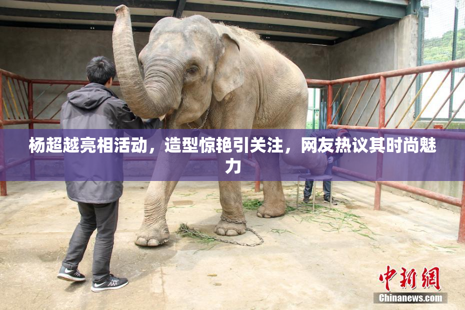 杨超越亮相活动，造型惊艳引关注，网友热议其时尚魅力