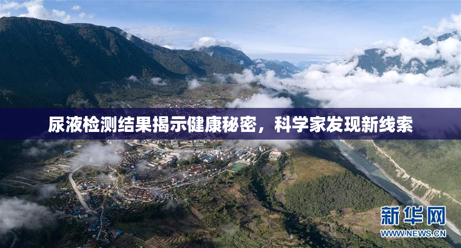 尿液检测结果揭示健康秘密，科学家发现新线索