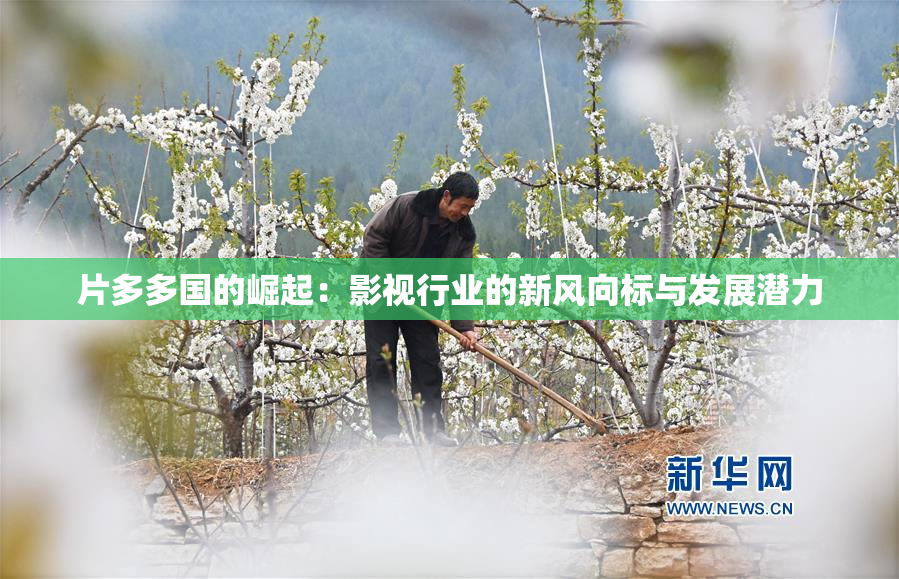 片多多国的崛起：影视行业的新风向标与发展潜力