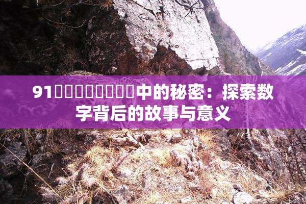 91❌‌❌‌❌‌❌‌中的秘密：探索数字背后的故事与意义