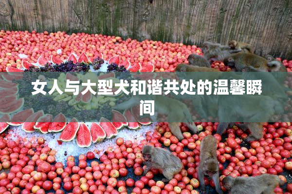 女人与大型犬和谐共处的温馨瞬间
