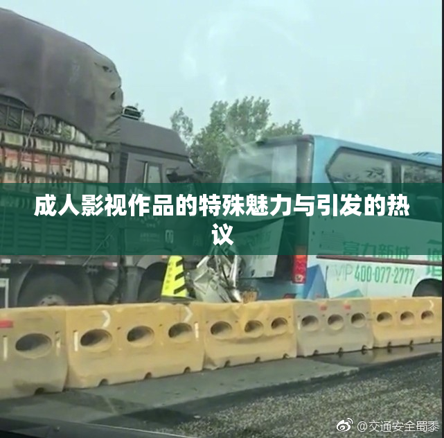 成人影视作品的特殊魅力与引发的热议