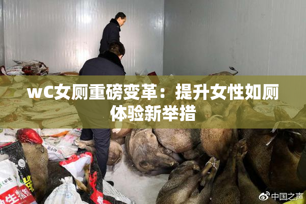 wC女厕重磅变革：提升女性如厕体验新举措