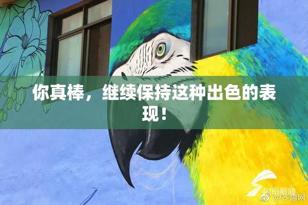 你真棒，继续保持这种出色的表现！