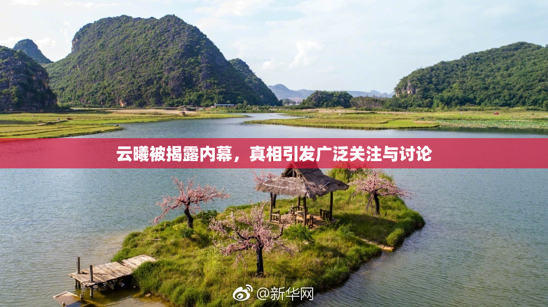 云曦被揭露内幕，真相引发广泛关注与讨论