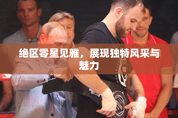 绝区零星见雅，展现独特风采与魅力