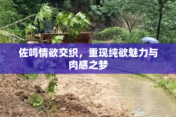佐鸣情欲交织，重现纯欲魅力与肉感之梦