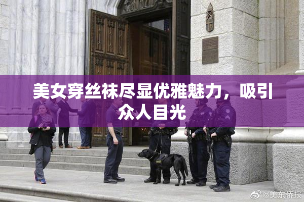 美女穿丝袜尽显优雅魅力，吸引众人目光