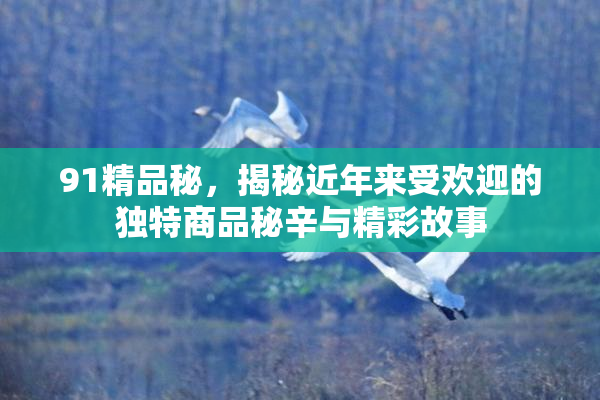 91精品秘，揭秘近年来受欢迎的独特商品秘辛与精彩故事