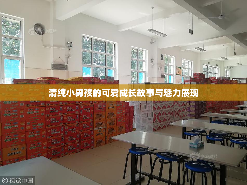 清纯小男孩的可爱成长故事与魅力展现