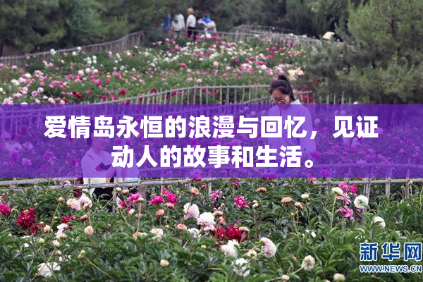 爱情岛永恒的浪漫与回忆，见证动人的故事和生活。