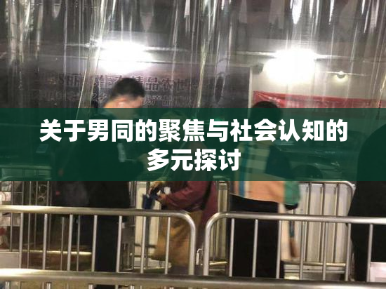 关于男同的聚焦与社会认知的多元探讨