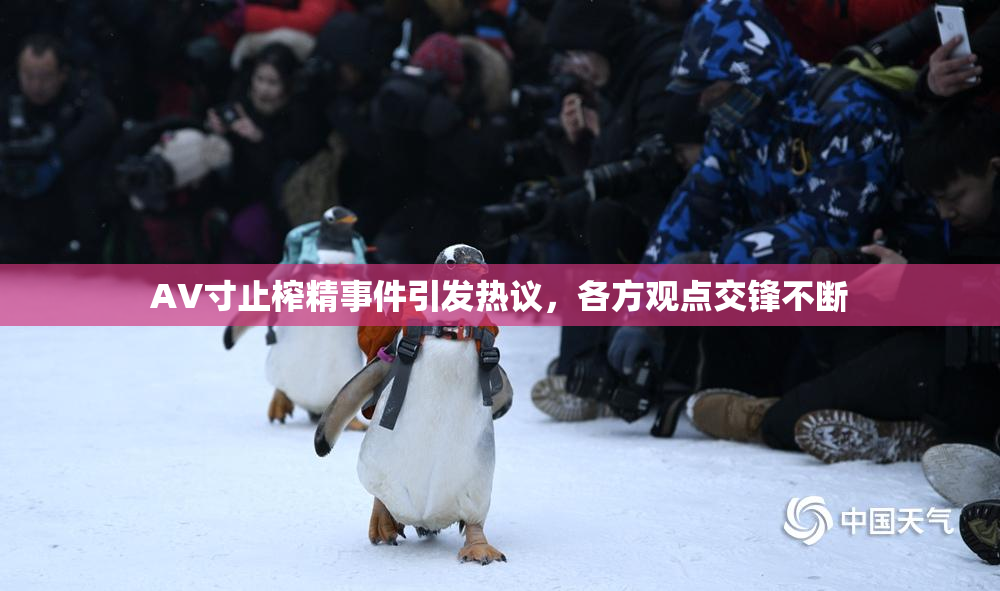 AV寸止榨精事件引发热议，各方观点交锋不断
