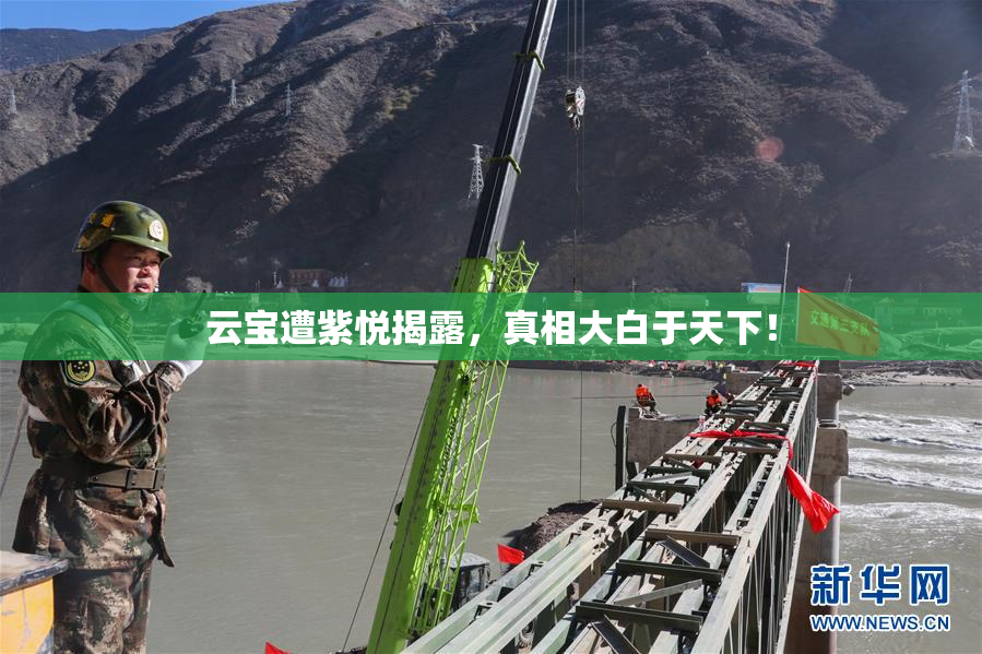 云宝遭紫悦揭露，真相大白于天下！