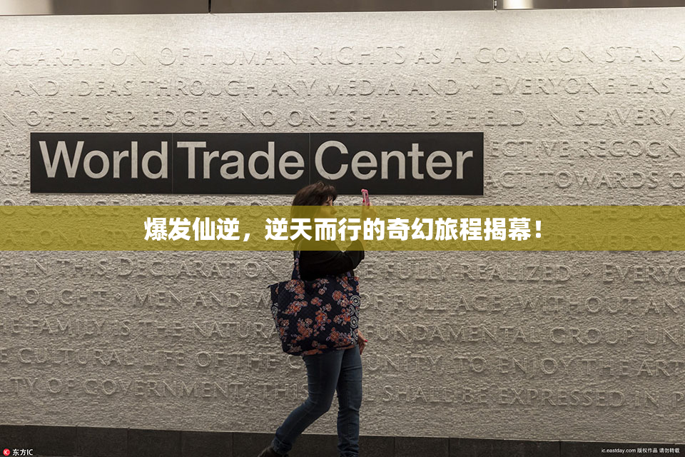 爆发仙逆，逆天而行的奇幻旅程揭幕！