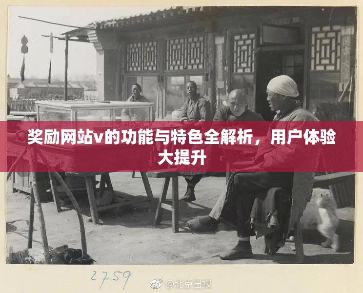奖励网站v的功能与特色全解析，用户体验大提升
