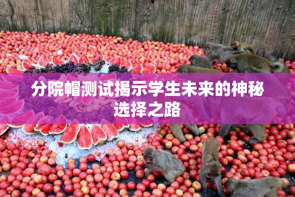 分院帽测试揭示学生未来的神秘选择之路