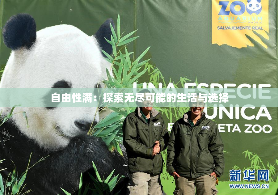 自由性满：探索无尽可能的生活与选择