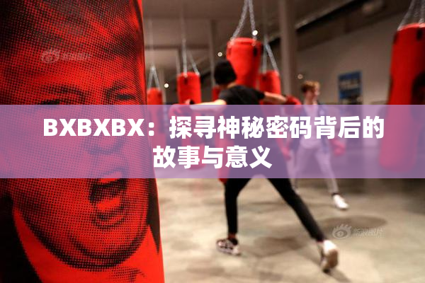 BXBXBX：探寻神秘密码背后的故事与意义