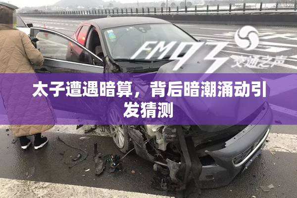 太子遭遇暗算，背后暗潮涌动引发猜测
