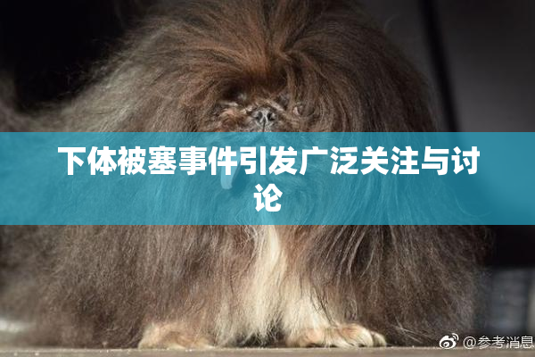 下体被塞事件引发广泛关注与讨论