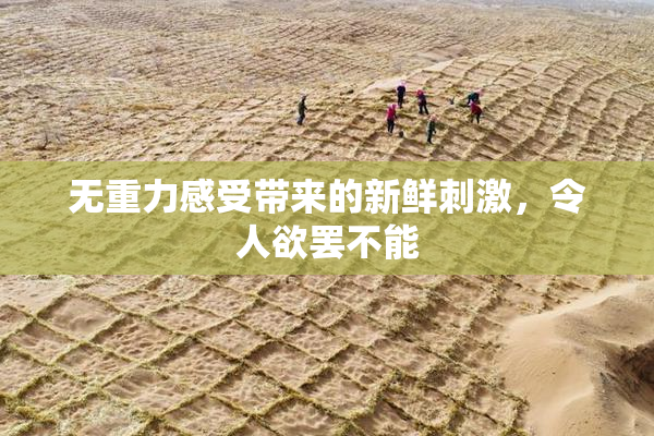无重力感受带来的新鲜刺激，令人欲罢不能