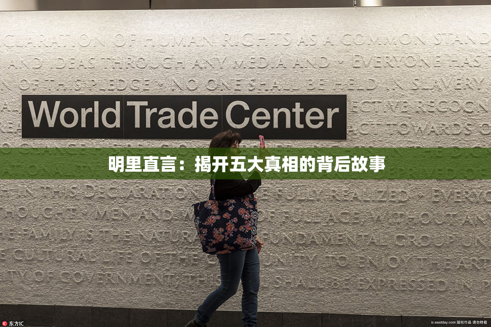 明里直言：揭开五大真相的背后故事