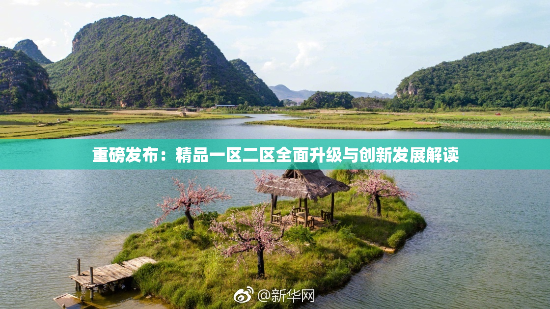 重磅发布：精品一区二区全面升级与创新发展解读
