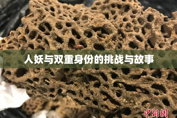 人妖与双重身份的挑战与故事