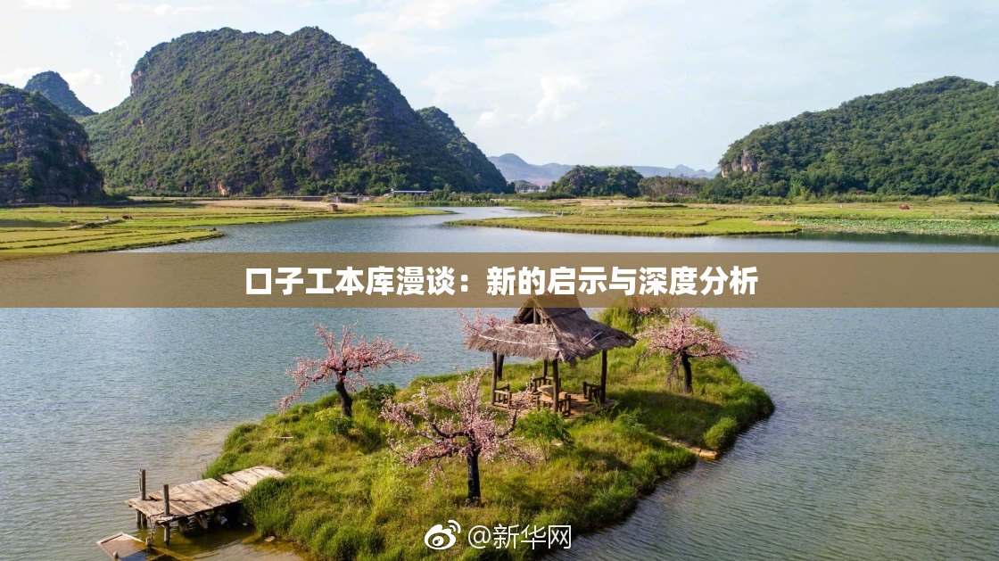 口子工本库漫谈：新的启示与深度分析