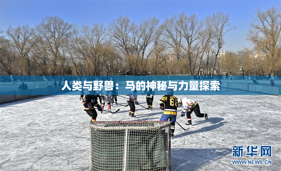 人类与野兽：马的神秘与力量探索