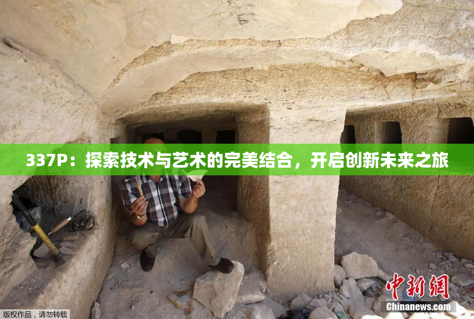 337P：探索技术与艺术的完美结合，开启创新未来之旅