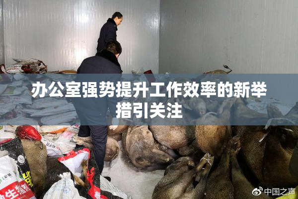 办公室强势提升工作效率的新举措引关注