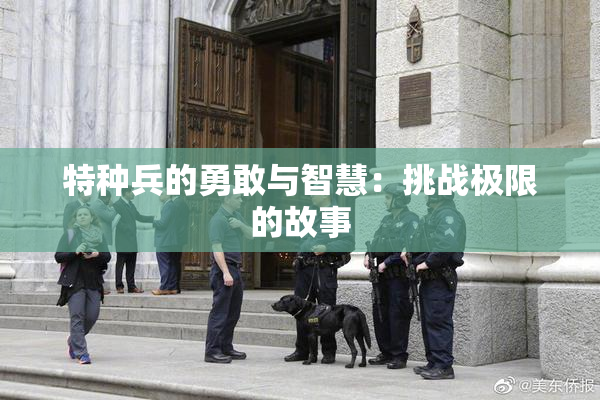 特种兵的勇敢与智慧：挑战极限的故事