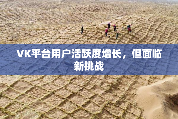 VK平台用户活跃度增长，但面临新挑战
