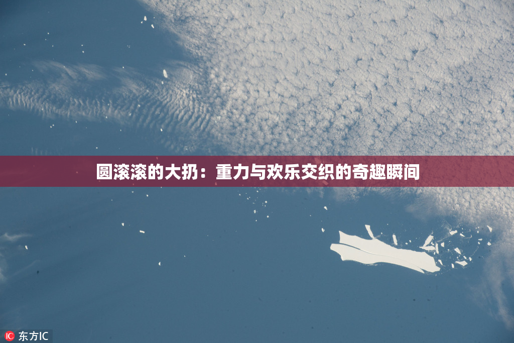 圆滚滚的大扔：重力与欢乐交织的奇趣瞬间
