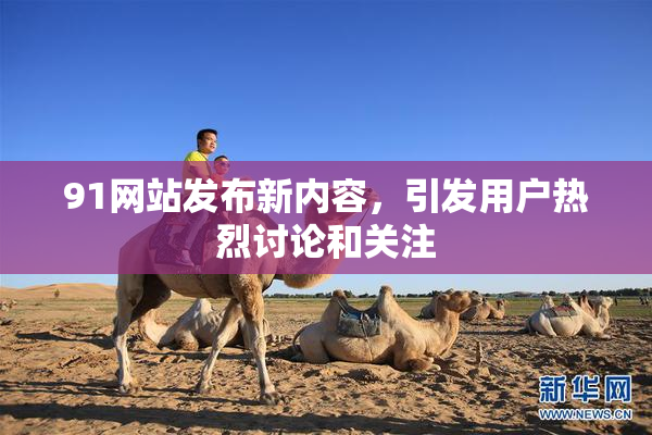 91网站发布新内容，引发用户热烈讨论和关注