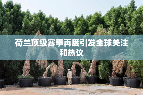 荷兰顶级赛事再度引发全球关注和热议