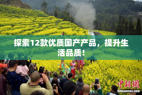 探索12款优质国产产品，提升生活品质！