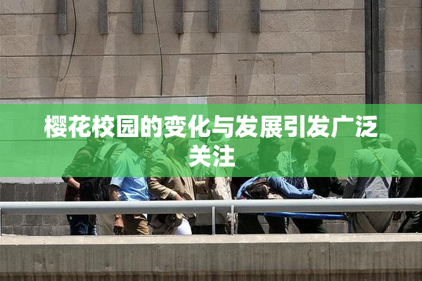 樱花校园的变化与发展引发广泛关注