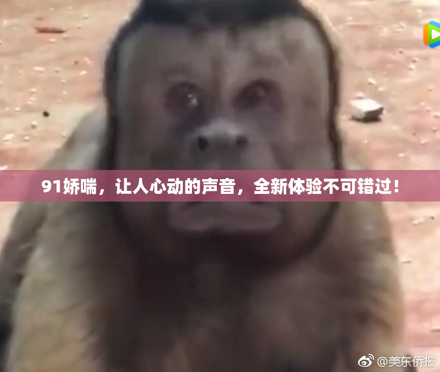 91娇喘，让人心动的声音，全新体验不可错过！