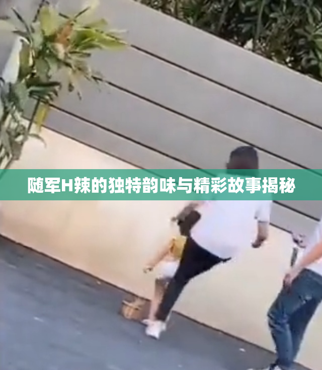 随军H辣的独特韵味与精彩故事揭秘