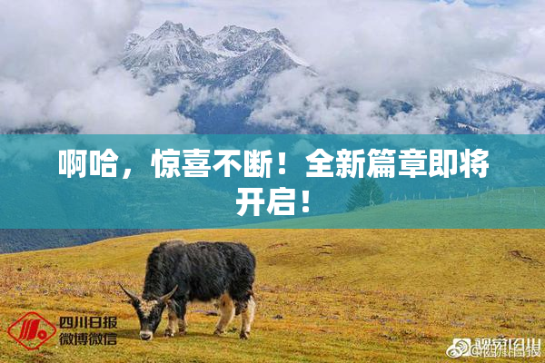 啊哈，惊喜不断！全新篇章即将开启！