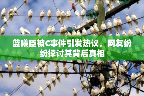 蓝曦臣被C事件引发热议，网友纷纷探讨其背后真相
