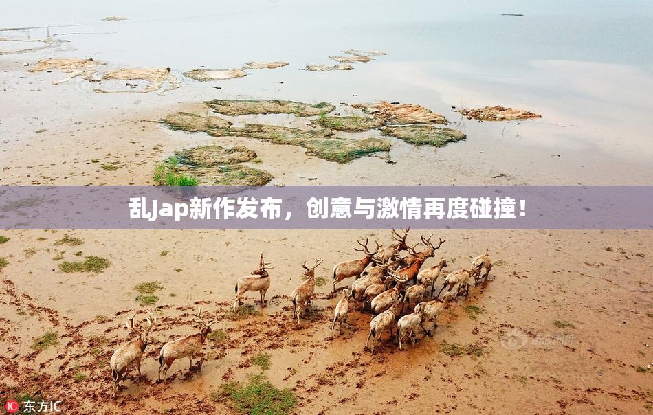 乱Jap新作发布，创意与激情再度碰撞！