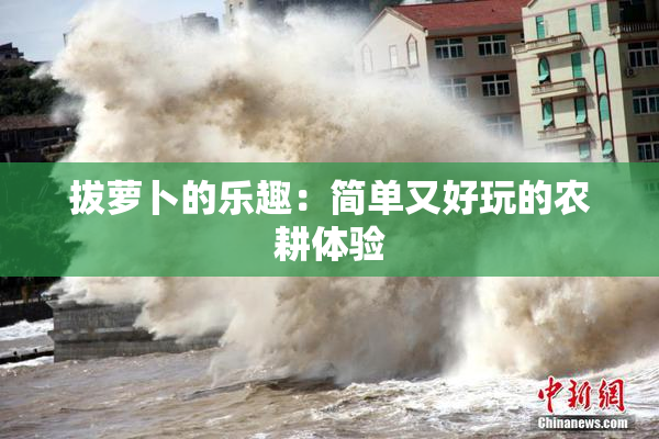 拔萝卜的乐趣：简单又好玩的农耕体验